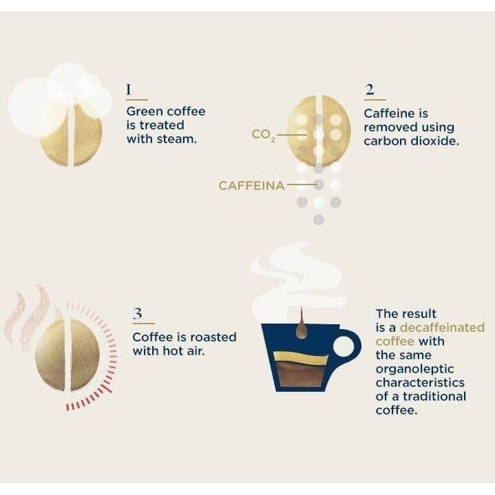 Lavazza Dek Decaffeinated Coffee Beans (12 Packs of 500g ...